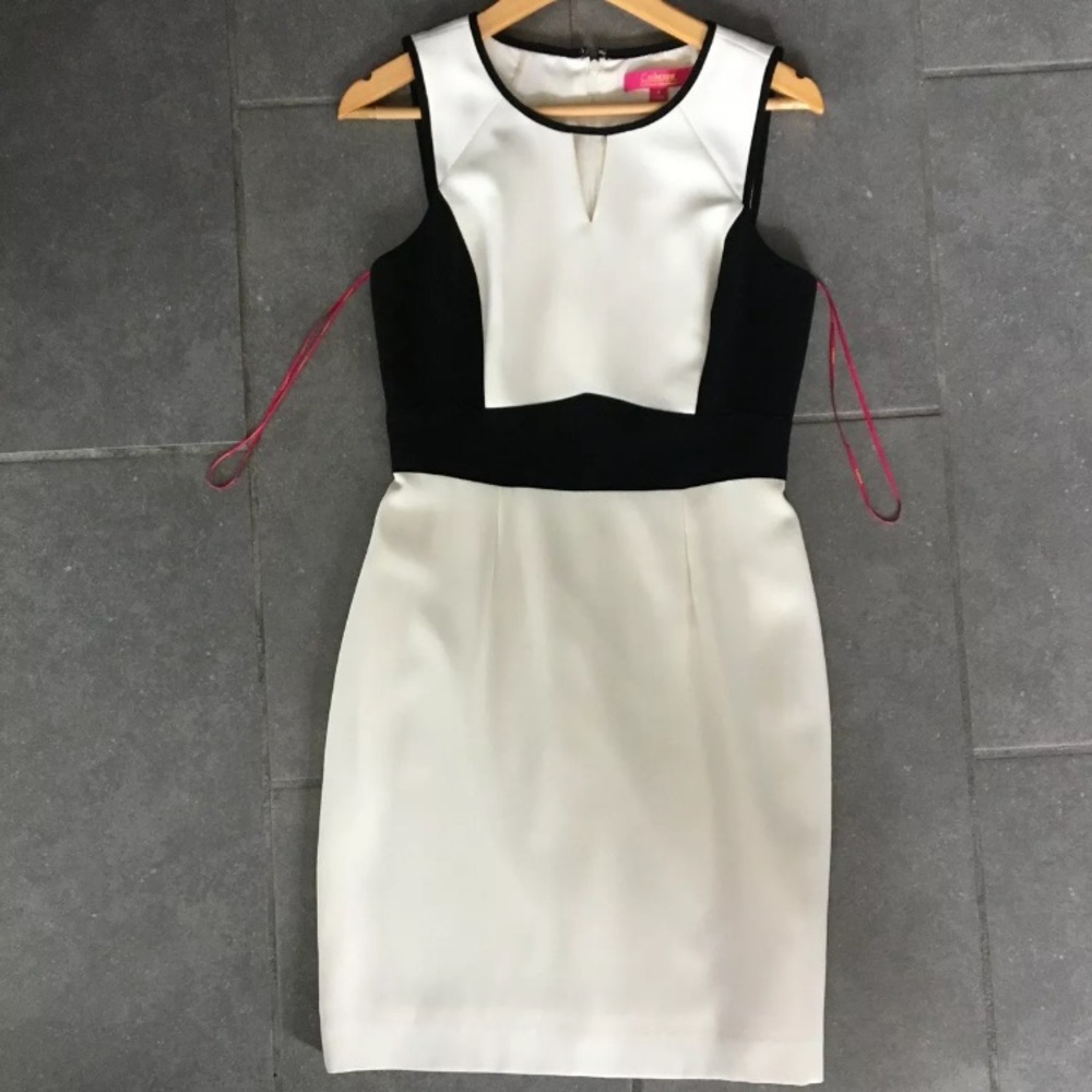 Catherine Malandrino 4 Ivory Black Dress